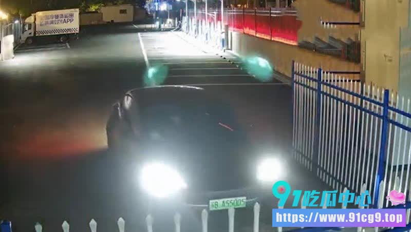📹监控真实记录 苏BA55005 奸夫淫妇深夜偷情车震 画面激情猛烈到爆! (1).jpg