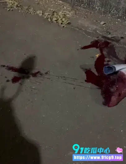 国外狠活女子自卫一刀割断性侵男阴茎凶手当场失血过多惨死街头 (6).webp