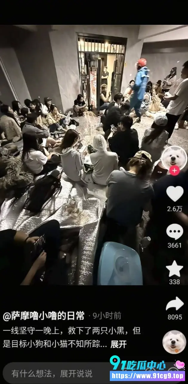 垃圾去④!😡重庆“山姆打包哥”夫妇 借助领养名义虐杀小动物 恶行曝光令人发指 (4).webp