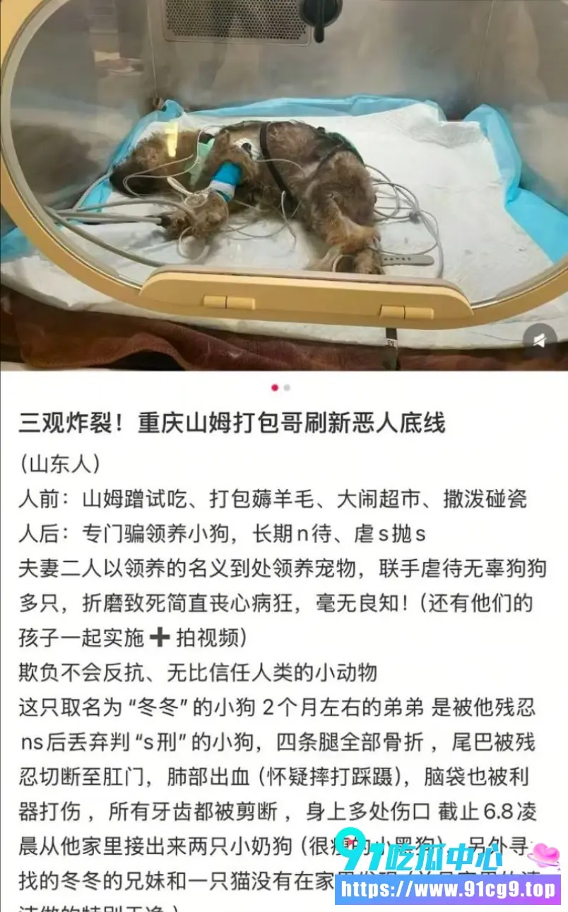 垃圾去④!😡重庆“山姆打包哥”夫妇 借助领养名义虐杀小动物 恶行曝光令人发指 (1).webp