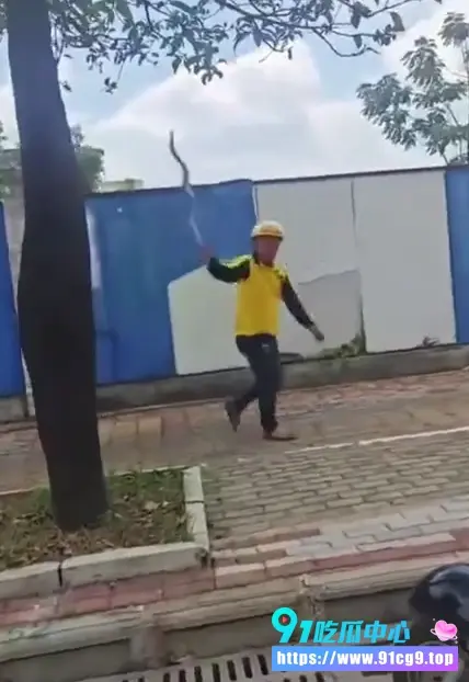 外卖小哥太生猛! 路边抓大蛇狂舞 直接玩出花来 🐍 (3).webp
