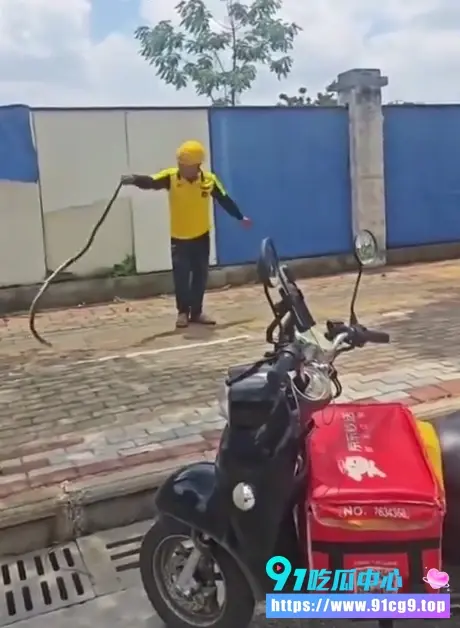 外卖小哥太生猛! 路边抓大蛇狂舞 直接玩出花来 🐍 (2).webp