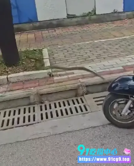 外卖小哥太生猛! 路边抓大蛇狂舞 直接玩出花来 🐍 (1).webp