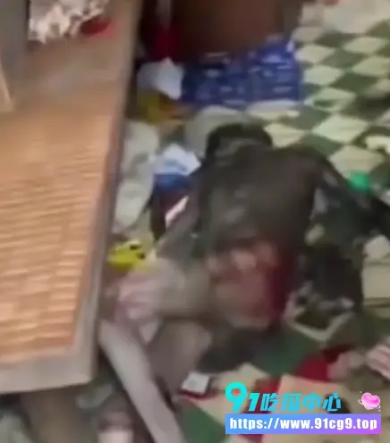 大昌七中夜拍女鬼学生录下红衣诡影次日暴毙成干尸太渗人了.webp