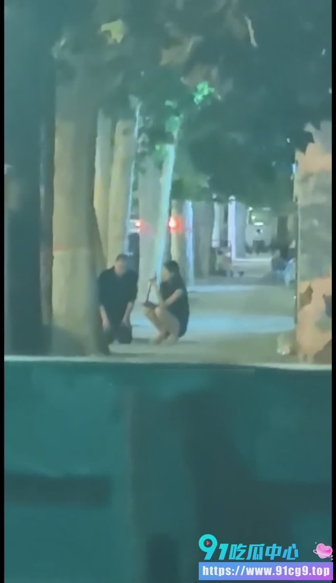 马路边玩女王sm调教!🐶男子当众下跪开直播 被路人拍下 是脸都不要了? (5).jpg