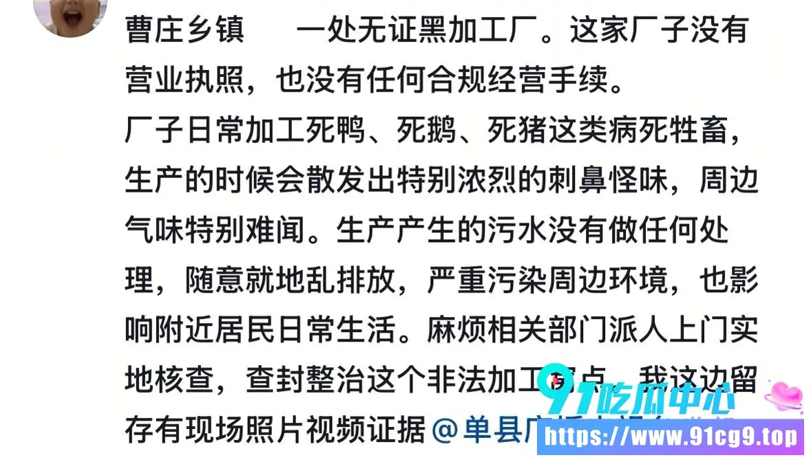 山东菏泽单县曹庄镇村民自发手持铁锤围堵无证黑加工厂 愤怒端掉加工病死猪鸭鹅的污染源 (1).webp