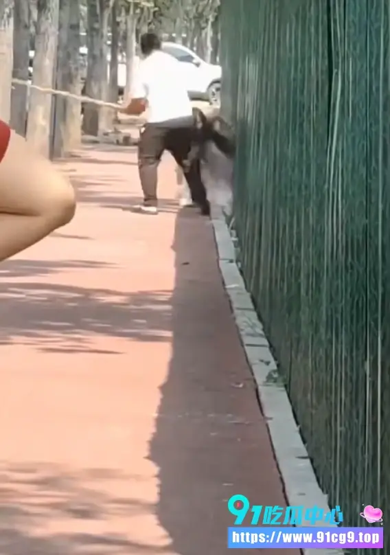 搜狗截图20260707203049.webp