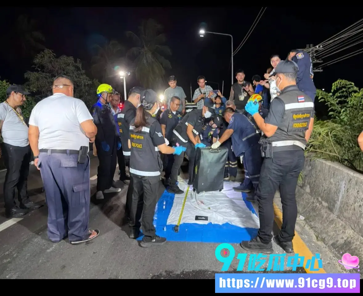 泰国女孩被46岁澳男带公寓杀害!尸体塞进行李箱扔铁轨旁,嫌疑人想坐飞机逃跑,结果起飞前被抓获 (10).webp
