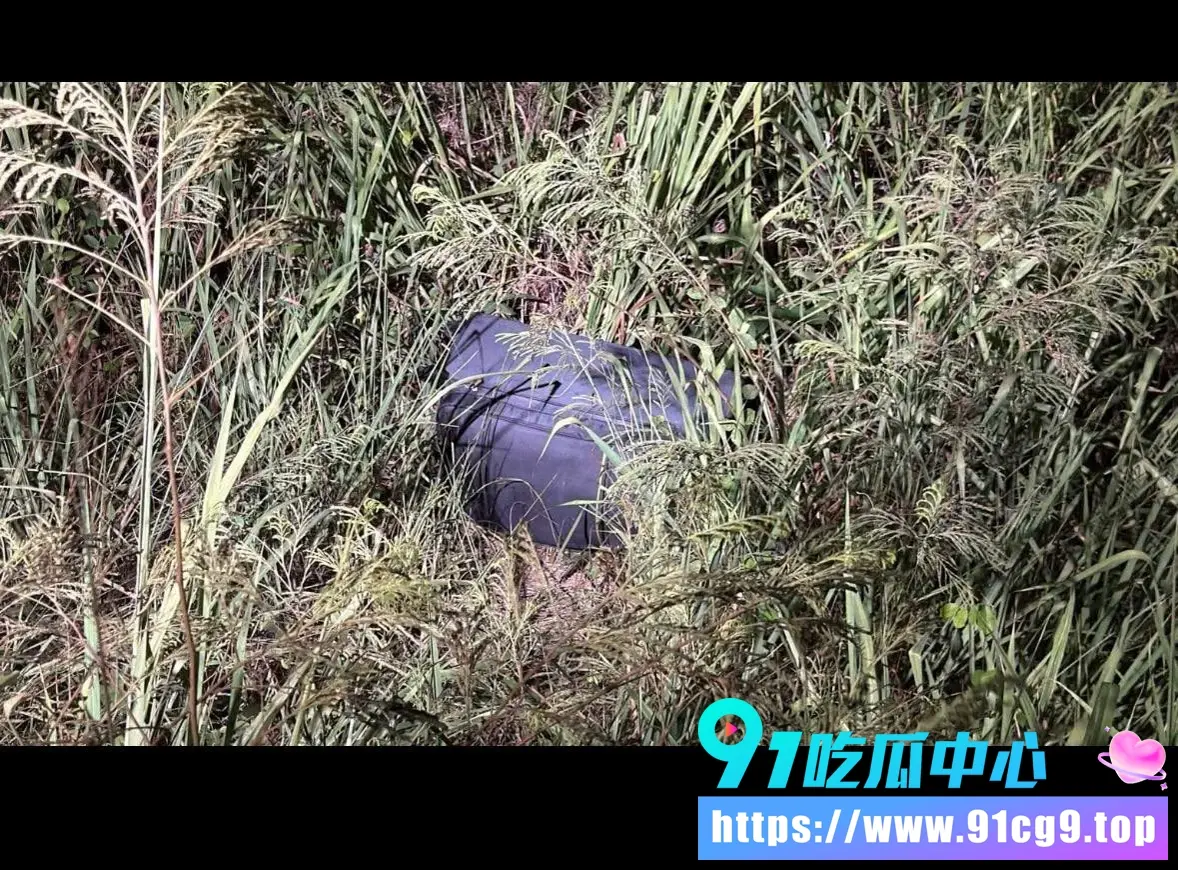 泰国女孩被46岁澳男带公寓杀害!尸体塞进行李箱扔铁轨旁,嫌疑人想坐飞机逃跑,结果起飞前被抓获 (8).webp