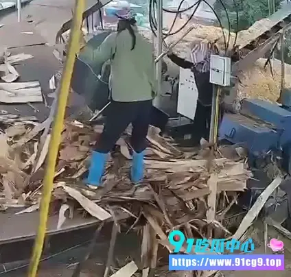 料厂机器吃人惨案女工喂料时直接被卷进粉碎机 整个人绞成肉酱 (7).webp