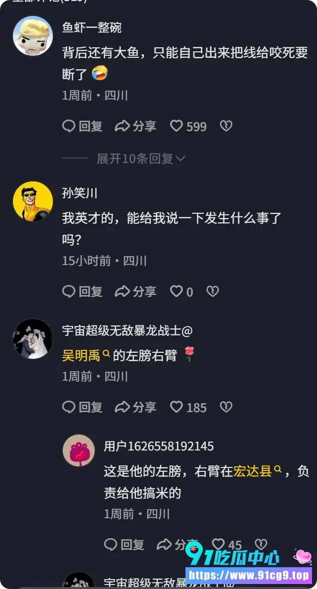 评论 (2).webp