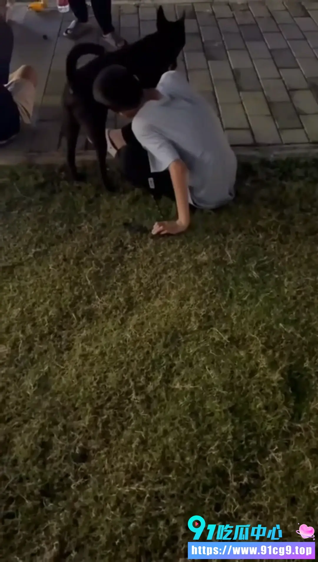 昨天晚上出门遛狗时 撞见一个男孩抚摸狗的生殖器官 让人极度不适 三观炸裂的事情 (4).webp