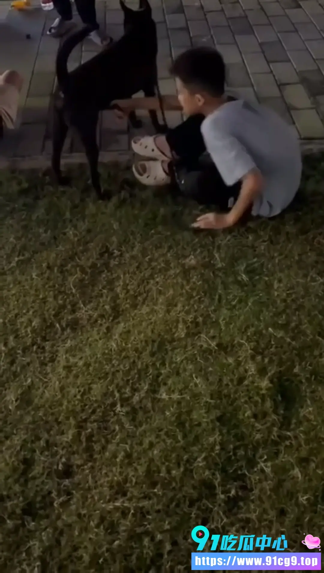 昨天晚上出门遛狗时 撞见一个男孩抚摸狗的生殖器官 让人极度不适 三观炸裂的事情 (3).webp