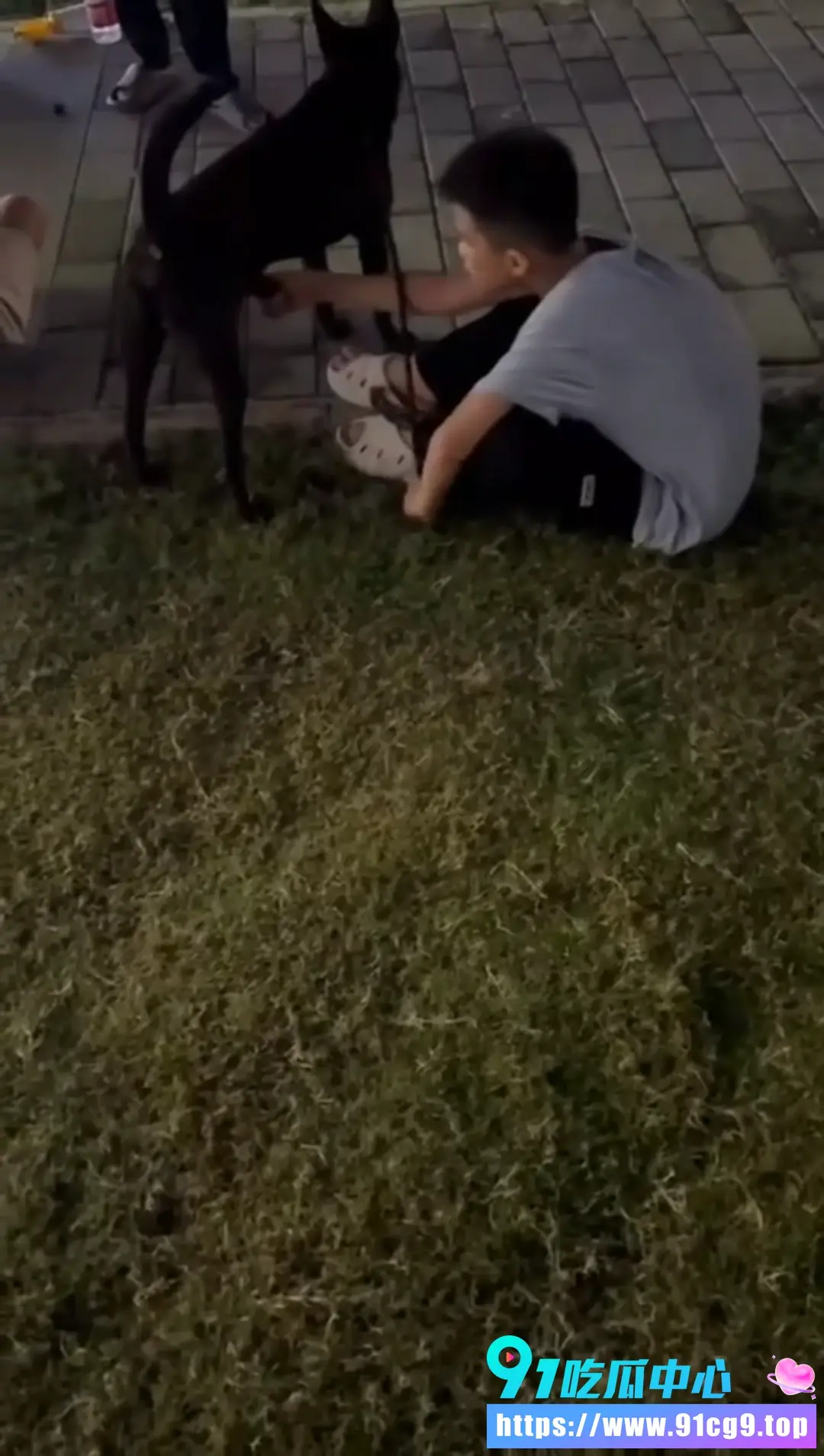 昨天晚上出门遛狗时 撞见一个男孩抚摸狗的生殖器官 让人极度不适 三观炸裂的事情 (2).webp